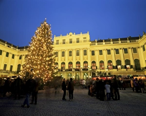 Austrian Eu Prints: Christmas tree in front of Schonbrunn Palace at dusk, UNESCO World Heritage Site