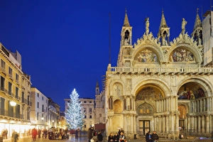 Piazza Prints: Christmas tree in St. Marks Square