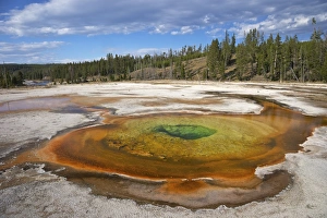 Standing Water Prints: Chromatic Pool, Upper Geyser Basin