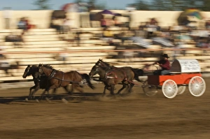 Chuck wagon races, British Columbia, Canada, North America