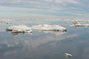 Sparse Prints: Chukchi Sea, Russian Far East, Eurasia