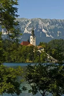 Images Dated 19th August 2008: Church of the Assumption on Bled Island in Bled Lake, Bled, Slovenia, Europe