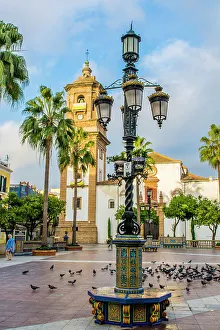 Lamp Prints: Church of La Palma, Plaza Alta main square, Algeciras, Andalusia, Spain, Europe