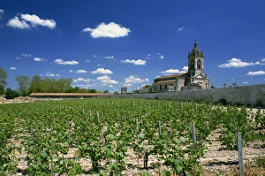 Medoc Prints: Church of Margaux, Medoc, Aquitaine, France, Europe