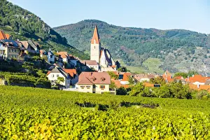 Wachau Prints: Church Pfarrkirche Mariae Himmelfahrt in Weissenkirchen in the vineyards on the Danube