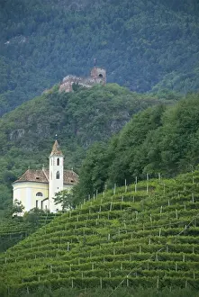 Bolzano Prints: Church and ruined castle at Missiano, Caldero wine district, Bolzano, Alto Adige