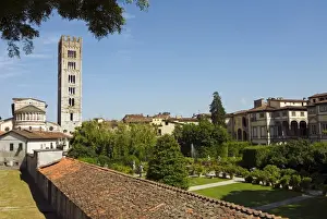 Church of San Frediano, Lucca, Tuscany, Italy, Europe
