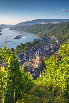 Bacharach Prints: Church of St. Peter (Sankt Peter) (Peterskirche), Bacharach on the River Rhine, Rhineland