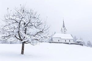 Snowing Prints: Church of Versam among the snow-laden trees, Versam, Safiental, Surselva, Graubunden