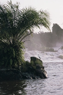 Western Africa Prints: Chutes de la Lobe, Kribi, west coast, Cameroon, Africa