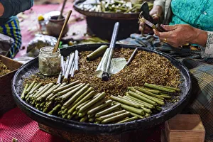 Females Prints: Cigar and cigarette hand made rolling, Inle Lake, Shan state, Myanmar (Burma), Asia