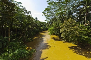 West Java Prints: The Cijulang River, popular for boat trips to the Green Canyon