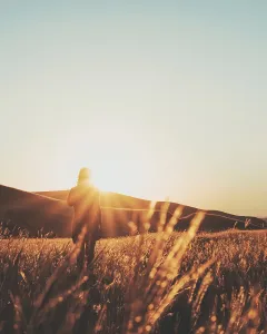 cinematic backlit silhouette woman tall grass sunset symbolizing freedom