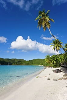 Cinnamon Bay beach and palms, St. John, U.S. Virgin Islands, West Indies