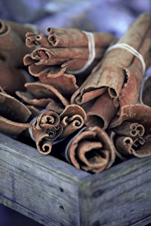 Stick Prints: Cinnamon sticks at the market, Fort de France, island of Martinique, Lesser Antilles