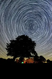 Leisure Activity Prints: Circumpolar star trail with a tree silhouette and a campfire in the background