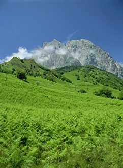 Bearn Prints: Cirque de Lescun, Le Billare, Pyrenees, Bearn, Aquitaine, France, Europe