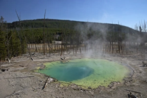 Standing Water Prints: Cistern Spring, Norris Geyser Basin