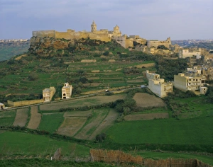 The Citadel