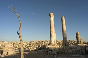 Amman Prints: Citadel ruins