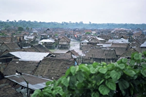 Rain Forest Prints: Part of city built closer to the river