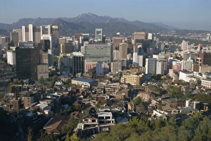 City centre tower blocks seen from Namsan Park with