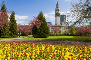 Cardiff Prints: City Hall, Alexandra Gardens, Cathays Park, Cardiff, Wales, United Kingdom, Europe
