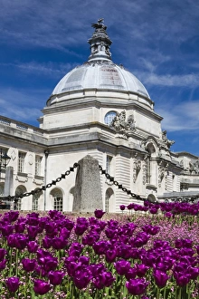 City Hall, Cardiff, Wales, United Kingdom, Europe