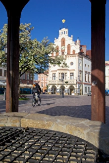 Rzeszow Prints: City Hall and well, Market Square, Old Town, Rzeszow, Poland, Europe