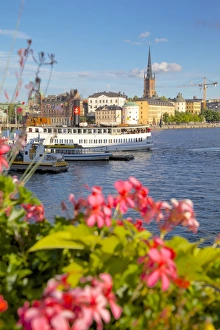 City skyline and flowers, Stockholm, Sweden, Scandinavia, Europe