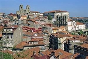 City skyline with houses