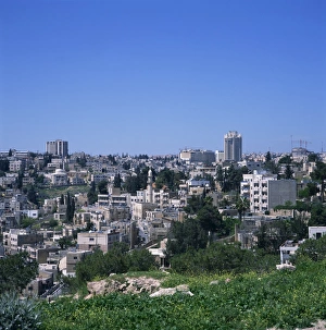 Amman Prints: City skyline of Jebel Amman from the Citadel