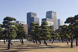 City skyline, Tokyo, Japan, Asia