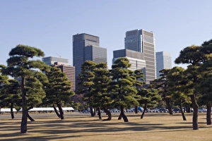 Images Dated 18th December 2009: City skyline, Tokyo, Japan, Asia