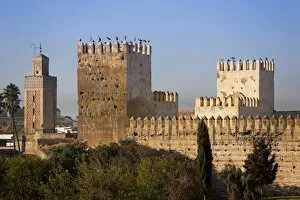 Images Dated 12th November 2009: City walls, Fez, Morocco, North Africa, Africa