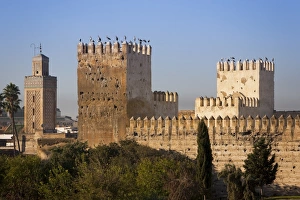 Images Dated 12th November 2009: City walls, Fez, Morocco, North Africa, Africa