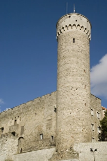 City Walls Prints: City walls and Tall Herman Tower, Tallinn, Estonia, Baltic States, Europe