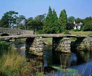 Vegetation Collection: Clapper Bridge, Postbridge, Dartmoor, Devon, England, UK