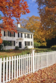 Fence Prints: Clapperboard houses and fence in autumn