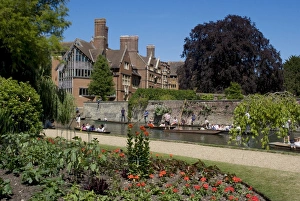 Colleges Prints: Clare College, Cambridge, Cambridgeshire, England, United Kingdom, Europe