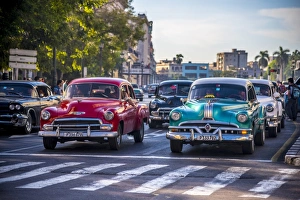 Old Fashioned Prints: Classic 1950s American cars, Paseo di Marti, La Habana Vieja (Old Havana), Havana