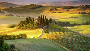 Typically Italian Prints: Classic Tuscan landscape at sunrise, Tuscany, Italy, Europe