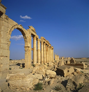 Syrian Culture Prints: Classical Columns, Palmyra, Syria