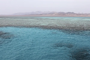 Red Sea Prints: Clear Red Sea waters, Ras Mohammed National Park, Sinai South, Egypt, North Africa