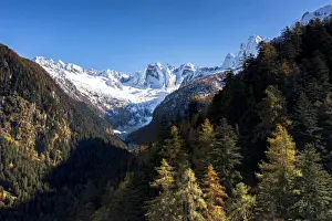 Clear sky over the snowcapped Sciore mountains and Cengalo peak framed by woods in autumn, Val Bregaglia, Graubunden, Switzerland, Europe