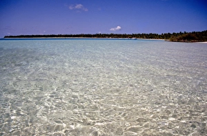Images Dated 16th July 2009: Clear water off Bangaram Island, Lakshadweep Islands, India, Indian Ocean, Asia