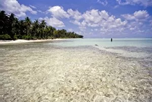 Clear water off Bangaram Island, Lakshadweep Islands, India, Indian Ocean, Asia