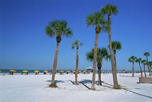 Florida Prints: Clearwater Beach