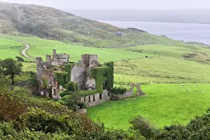 Pastoral Prints: Clifden Castle in the rain, ruined manor house near Clifden