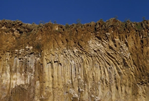 Rock Cliffs Prints: Cliff detail, Hells Gate, Kenya, East Africa, Africa